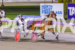 2025_PACEPIX_GP26122025_RACE9_IllawongMustang_WIN_WEB-4