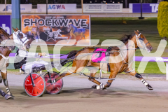 2025_PACEPIX_GP26122025_RACE9_IllawongMustang_WIN_WEB-6