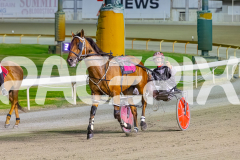 2025_PACEPIX_GP26122025_RACE9_IllawongMustang_WIN_WEB-8