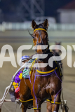 2026_PACEPIX_GP22052026_RACE9_ImMassimo_WIN_WEB-10