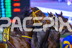 2026_PACEPIX_GP22052026_RACE9_ImMassimo_WIN_WEB-13
