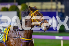 2026_PACEPIX_GP22052026_RACE9_ImMassimo_WIN_WEB-27