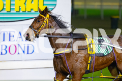 2026_PACEPIX_GP22052026_RACE9_ImMassimo_WIN_WEB-30