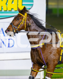 2026_PACEPIX_GP22052026_RACE9_ImMassimo_WIN_WEB-31