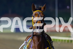2026_PACEPIX_GP22052026_RACE9_ImMassimo_WIN_WEB-32