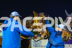 2026_PACEPIX_GP22052026_RACE9_ImMassimo_WIN_WEB-35