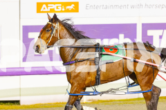 2025_PACEPIX_GP16092025_Race9_InFullFlight_WIN_WEB-14