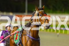 2025_PACEPIX_GP16092025_Race9_InFullFlight_WIN_WEB-17