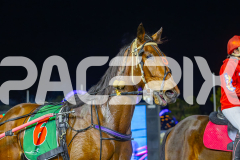 2025_PACEPIX_GP16092025_Race9_InFullFlight_WIN_WEB-20