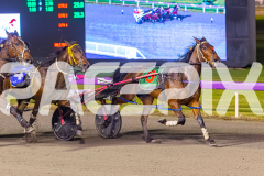 2025_PACEPIX_GP16092025_Race9_InFullFlight_WIN_WEB-8