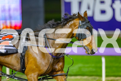 2026_PACEPIX_GP03072026_Race9_JamieKim_WIN_WEB-19