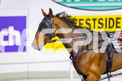 2026_PACEPIX_GP03072026_Race9_JamieKim_WIN_WEB-22