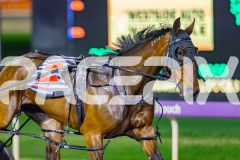2026_PACEPIX_GP03072026_Race9_JamieKim_WIN_WEB-4