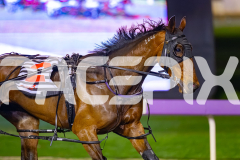 2026_PACEPIX_GP03072026_Race9_JamieKim_WIN_WEB-9