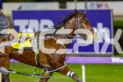 2026_PACEPIX_GP14072026_RACE9_Jordano_WIN_WEB-11