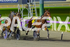 2026_PACEPIX_GP14072026_RACE9_Jordano_WIN_WEB-15