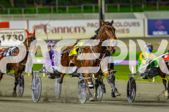 2026_PACEPIX_GP14072026_RACE9_Jordano_WIN_WEB-4