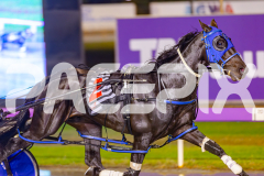 2025_PACEPIX_GP30052025_RACE9_LastHardCopy_WIN_WEB-14