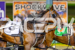 2026_PACEPIX_GP21042026_RACE9_LetsRattlnroll_WIN_WEB-12