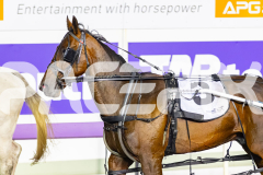 2026_PACEPIX_GP21042026_RACE9_LetsRattlnroll_WIN_WEB-14