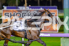 2026_PACEPIX_GP21042026_RACE9_LetsRattlnroll_WIN_WEB-4