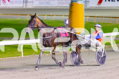 2025_PACEPIX_GP29082025_RACE9_LionQueen_WIN_WEB-10