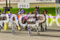 2025_PACEPIX_GP29082025_RACE9_LionQueen_WIN_WEB-2