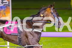 2025_PACEPIX_GP29082025_RACE9_LionQueen_WIN_WEB-9