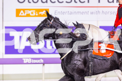 2026_PACEPIX_GP26052026_RACE9_LotsOfChance_WIN_WEB-15