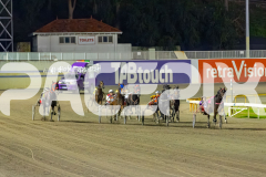 2026_PACEPIX_GP26052026_RACE9_LotsOfChance_WIN_WEB-2