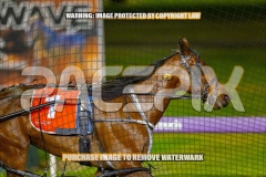 2026_PACEPIX_GP30102026_RACE9_MyMachane_WIN_WEB-21