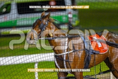 2026_PACEPIX_GP30102026_RACE9_MyMachane_WIN_WEB-23
