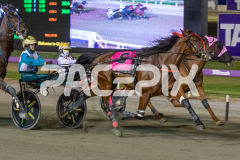 Majestic-Ga-Ga_13-03-2026_WIN_Gloucester-Park_9__02
