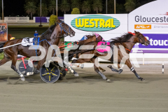 Majestic-Ga-Ga_13-03-2026_WIN_Gloucester-Park_9__05