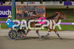 Majestic-Ga-Ga_13-03-2026_WIN_Gloucester-Park_9__08