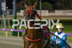 Majestic-Ga-Ga_13-03-2026_WIN_Gloucester-Park_9__09