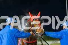 2025_PACEPIX_GP13062025_RACE9_MajesticGaGa_WIN_WEB-18