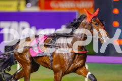 2025_PACEPIX_GP13062025_RACE9_MajesticGaGa_WIN_WEB-4