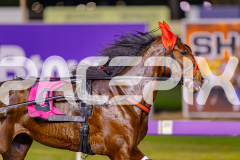 2025_PACEPIX_GP13062025_RACE9_MajesticGaGa_WIN_WEB-5