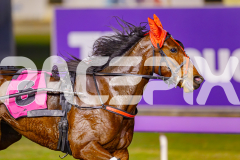 2025_PACEPIX_GP13062025_RACE9_MajesticGaGa_WIN_WEB-8