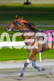 2026_PACEPIX_GP17032026_Race9_MajesticGaGa_WIN_WEB-12