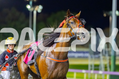 2026_PACEPIX_GP17032026_Race9_MajesticGaGa_WIN_WEB-15