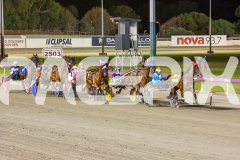 2026_GP13022026_RACE9_MajesticGaGa_WIN_WEB-1