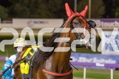 2026_GP13022026_RACE9_MajesticGaGa_WIN_WEB-10