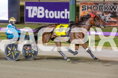 2026_GP13022026_RACE9_MajesticGaGa_WIN_WEB-5