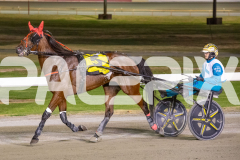 2026_GP13022026_RACE9_MajesticGaGa_WIN_WEB-9