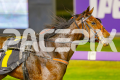 2025_PACEPIX_GP16052025_Race9_MajesticGaGa_WIN_WEB-11
