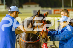 2025_PACEPIX_GP16052025_Race9_MajesticGaGa_WIN_WEB-15
