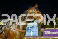 2025_PACEPIX_GP16052025_Race9_MajesticGaGa_WIN_WEB-20
