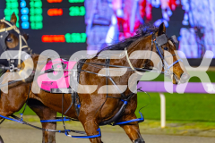 2026_PACEPIX_GP17072026_RACE9_MajorDisco_WIN_WEB-13